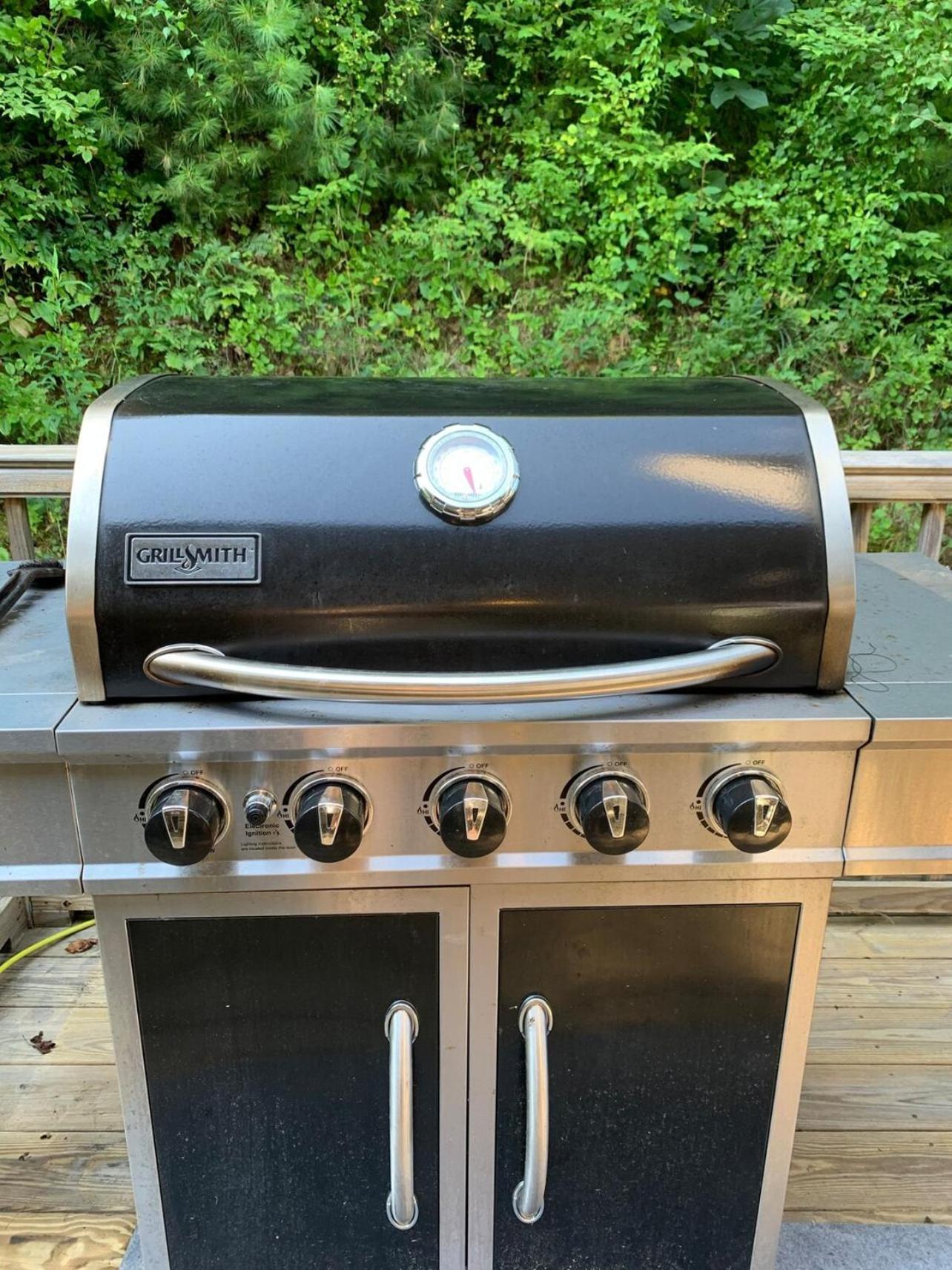Very Close To Dt & Biltmore, Fire Pit, View Holiday home